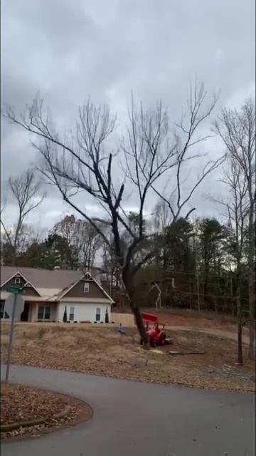 1000059813.mp4