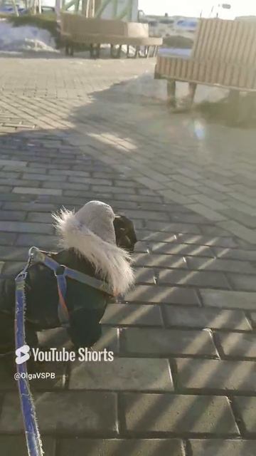 Спб Мурино ТЦ ЭкоПарк.mp4
