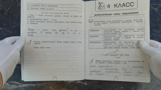 Все правила по русскому языку. Примеры, задания