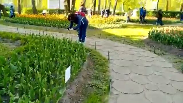 Фестиваль Тюльпанов 24.05.22