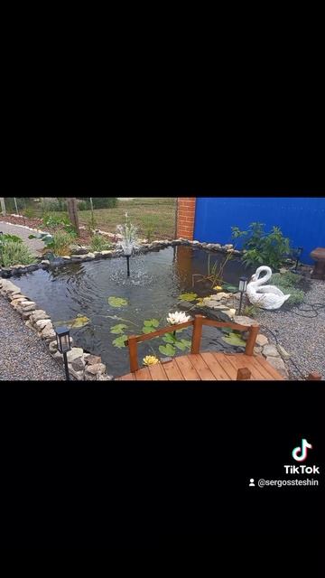 мой прудик около дома