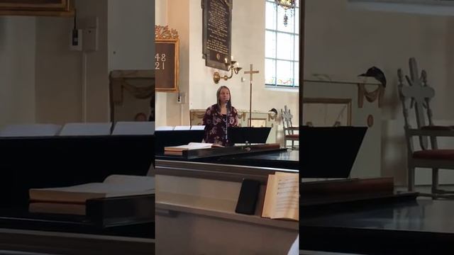 Linn Maria Prins Noel cover av Josefin Johansson