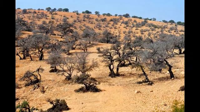 Travel to Morocco / Zdjęcia z Maroko