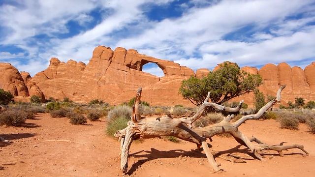 Imponujące parki Arches, Canyonlands oraz Wielki Kanion | RTW#11