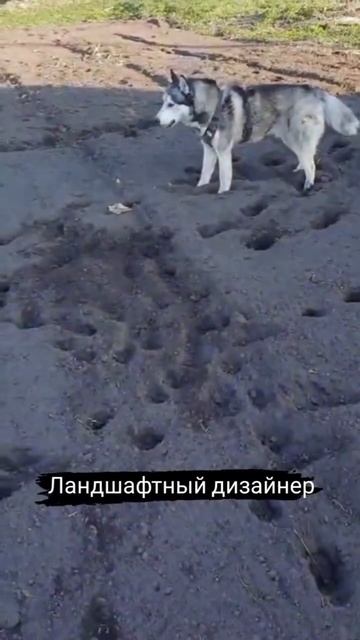 Ну а как еще)