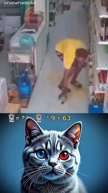 Что то пошло не так