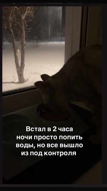 17-02-2025