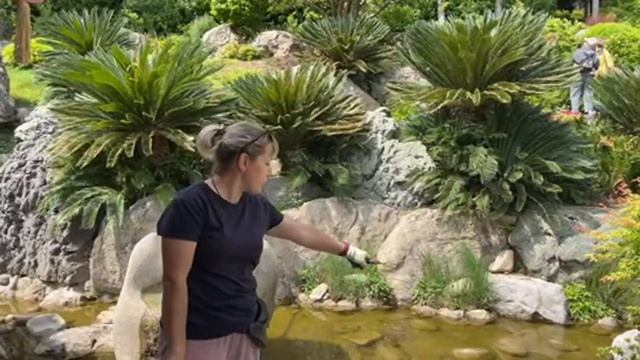Прогулка по Японскому саду в прямом эфире! Партенит, Крым.