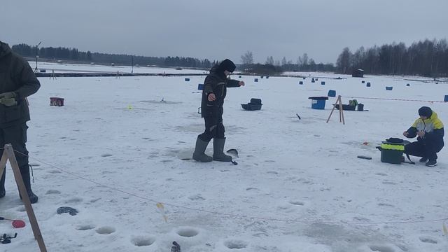 Поимки форели !