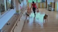 Приколы