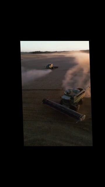 Уборка зерновых комбайнами (ДЖОН ДИР) зрелище еще то 👍#комбайн #с/х #поля  #топ
