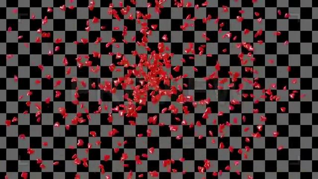 Heart Confetti Pack Stock Motion Graphics
