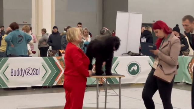 ШЕЛЕСТ БАРХАТА