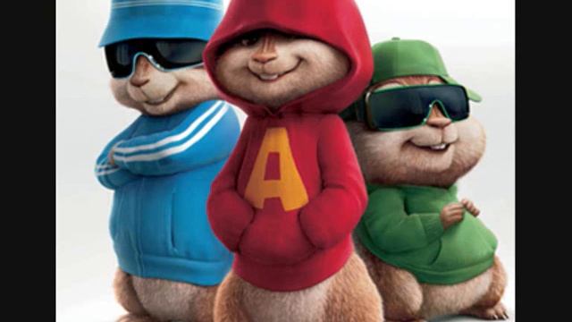 Shakira-Loca chipmunk