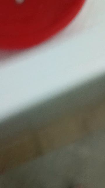 запустили яйцо