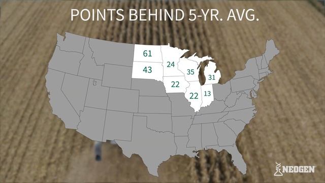 Monday Mycotoxin and Crop Report for November 18, 2019