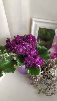 VID_20250217_150311(0)