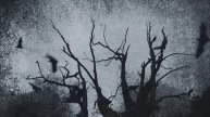 PlayaPhonk - Phonky Town (Haunted Visualizer)