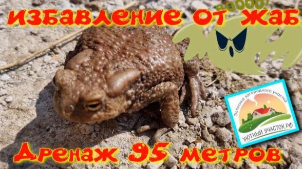 дренаж 95 метров