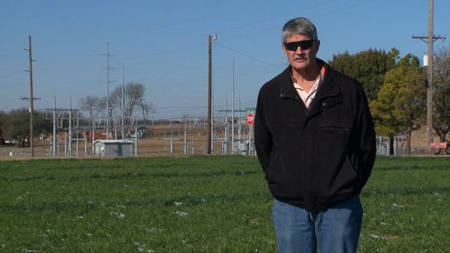 Wheat rust & winter weather (11/17/18)