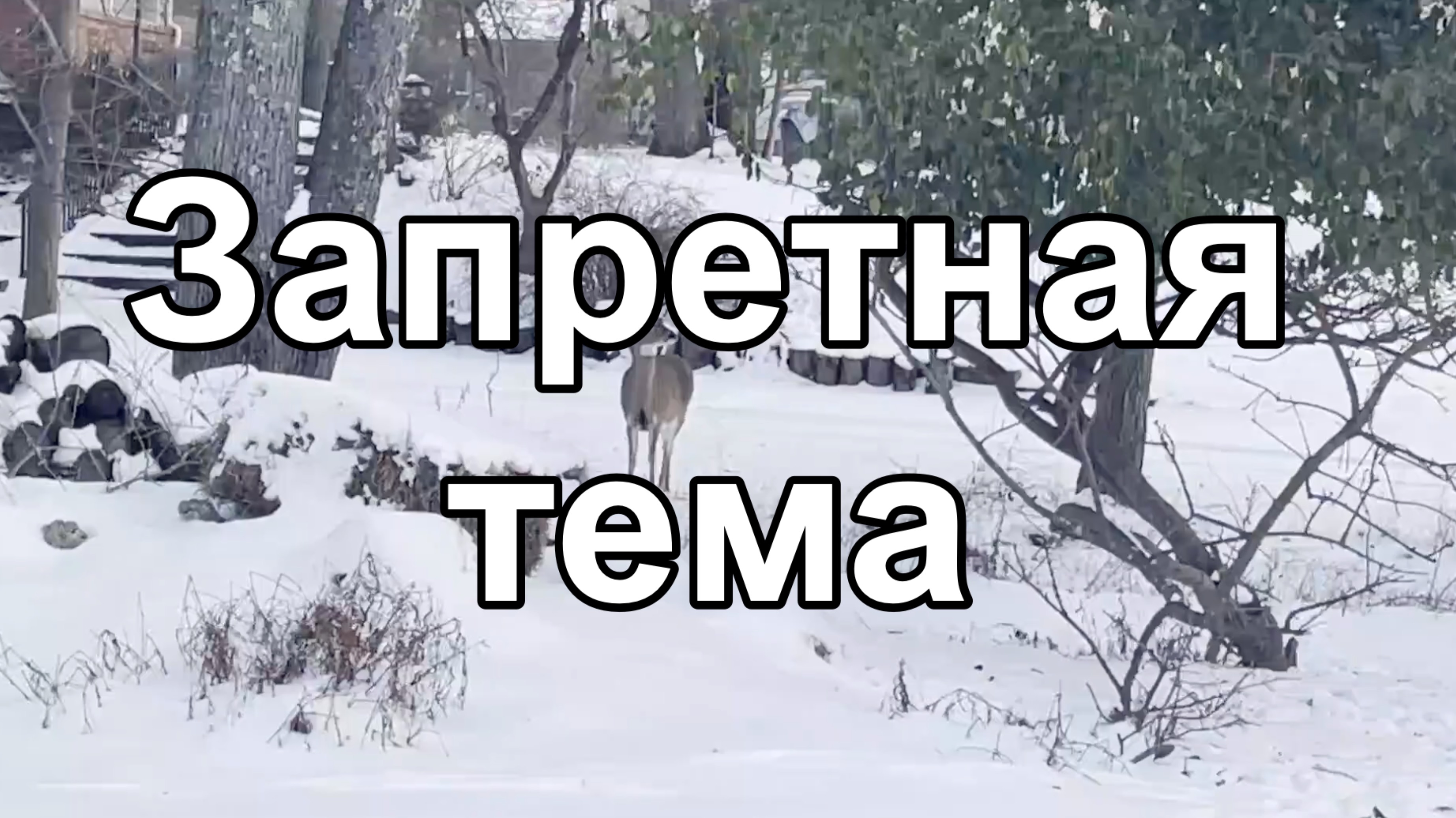 Запретная тема. О чем не говорят.