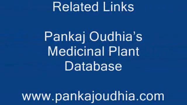 Octonary Ingredients of Utricularia reticulata Formuls: Pankaj Oudhia's Medicinal Plant Database