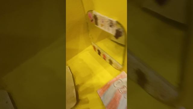 Обзор Дашиного домика