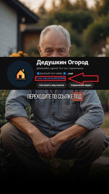 СЕКРЕТНАЯ подкормка от муравьев из СССР #дача #огород #урожай #муравьи
