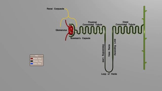 UTF Filtrate Flow rev 1