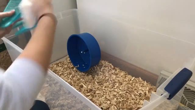 Pepper's cage setup
