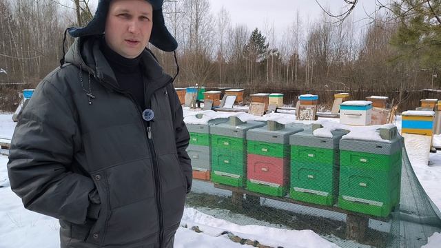 Борьба с клещом в 2024 году - это фундамент пчеловодства в 2025 году?!