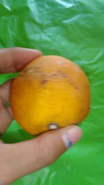 DESCRIPCION DE  LA ENFERMEDAD