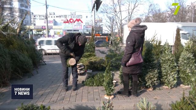 В Одесі перевіряють ялинкові ринки