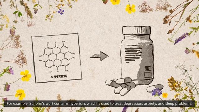 Get into the natural meadows! Episode 2 "Medicinal plants"