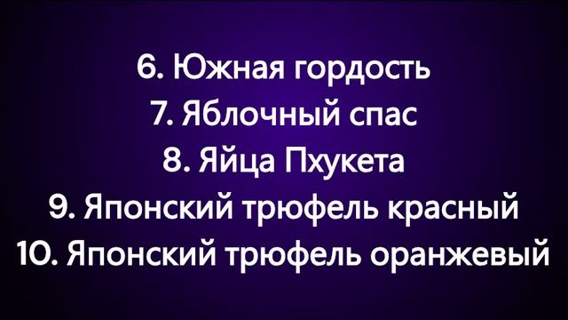 Томаты с хорошим иммунитетом. Наборы томатов. Часть 2. г. Киров