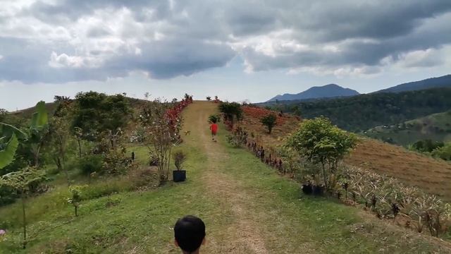Don Salvador Benedicto Mountain View Resort, Luna's Botanical Garden | Best of Negros