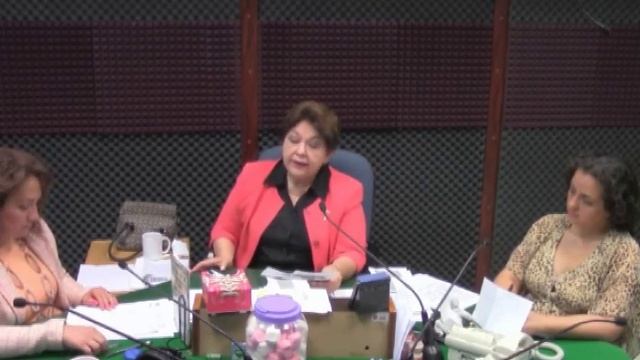 Grupo México, responsable de derrame de cobre - Martínez Serrano.