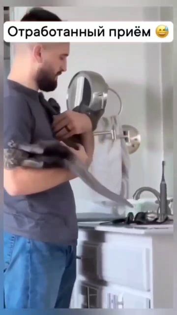 идеально #котики