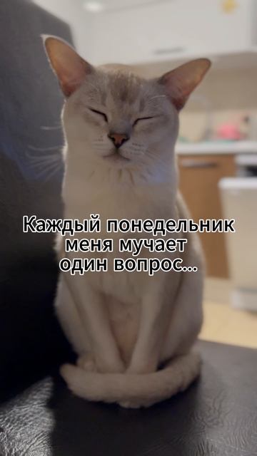Каждый понедельник один вопрос