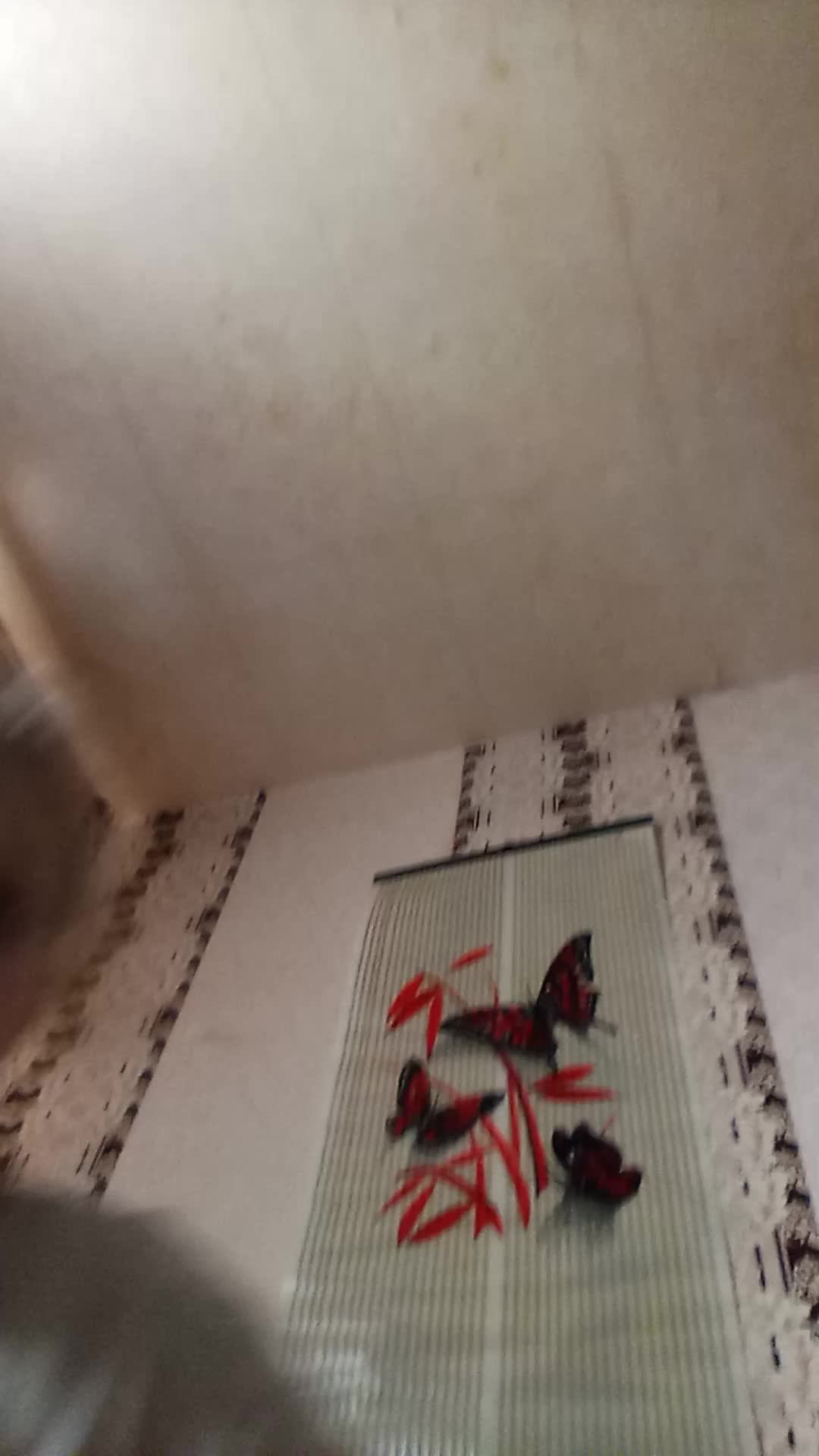 басики
