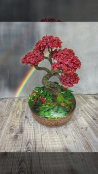 Pixaloop_17_02_2025_15_51_40_6250000.mp4