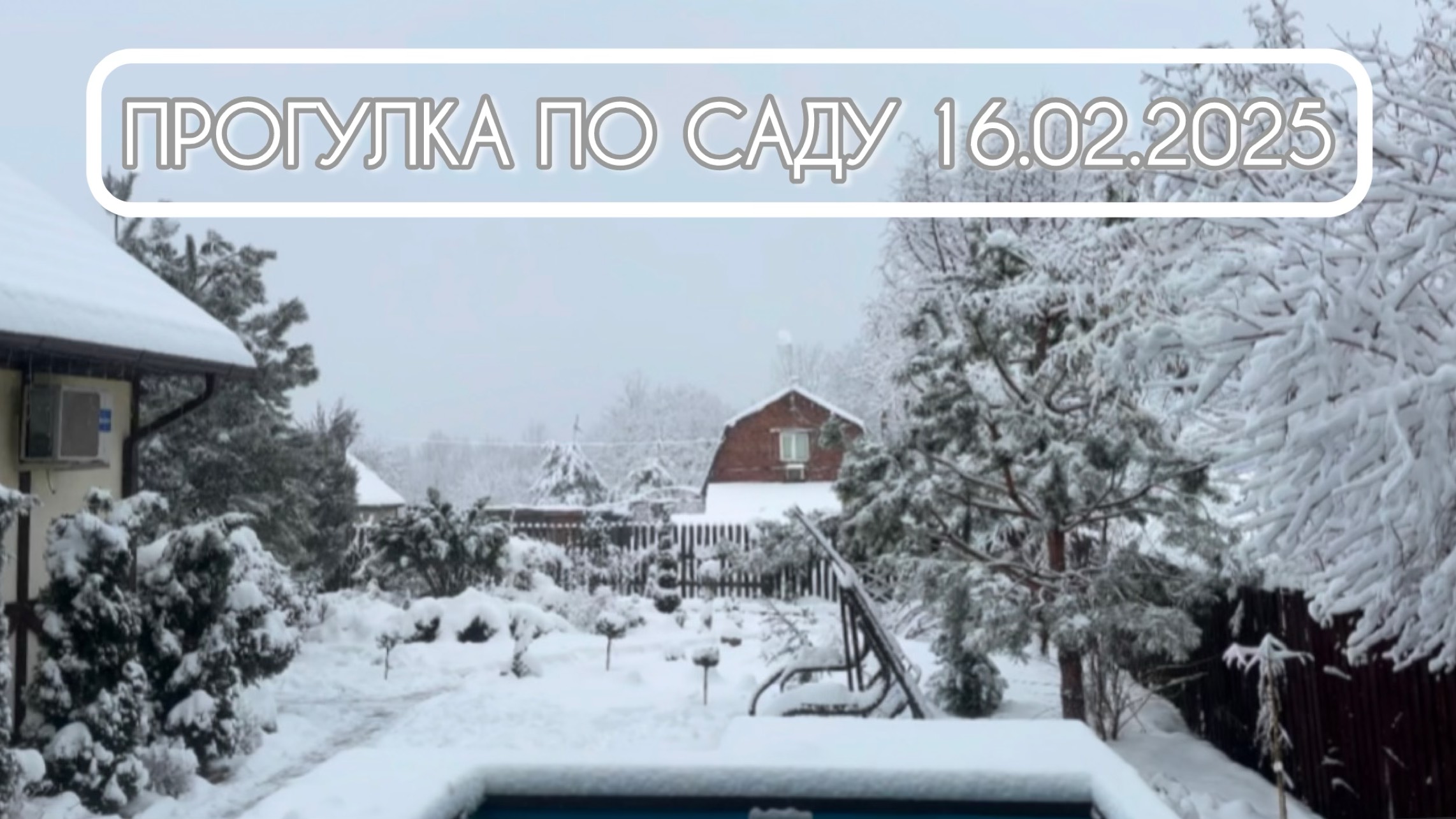Прогулка по южному зимнему саду. 16.02.2025