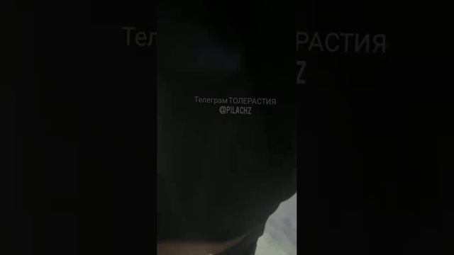 Во Владивостоке цыгане напали на сотрудника внутренних дел при исполнении !!!