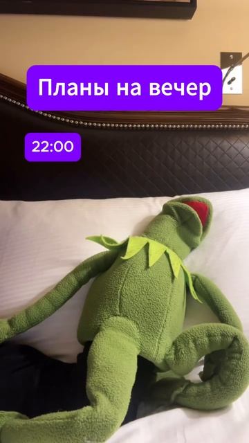 И так пять дней в неделю 😄