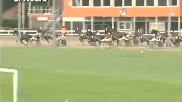 Zebrano Forest-Mw. M. Huel (1,20,9), 2. Za Za Newport. 3. Anky K, 4. Wigilio v. Exito