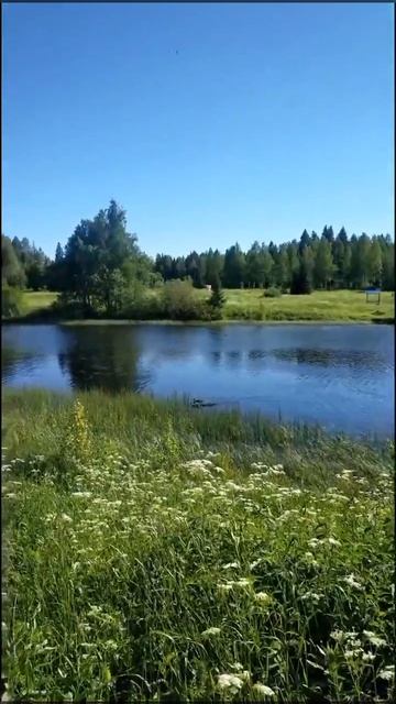720p_Видео_от_Александр_Сторожко_Смешные_Видео (33)