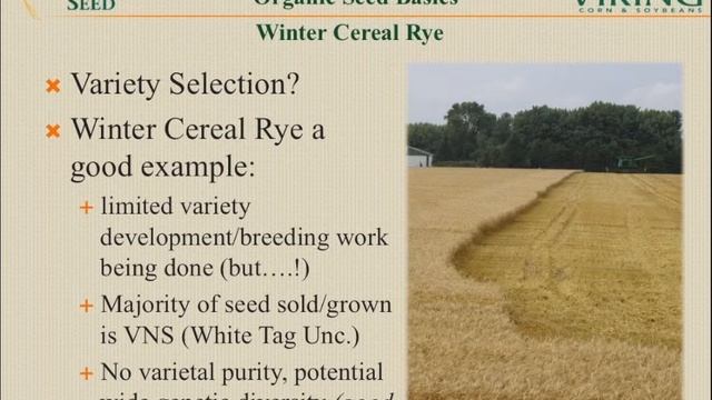 Organic Cover Crop Seed Production: Matt Leavitt, Albert Lea Seed