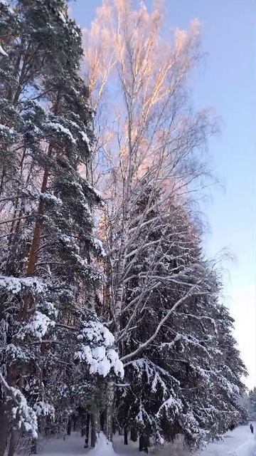 1000131859.mp4