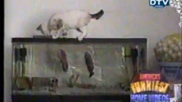 СМЕШНОЙ КЛИП 2