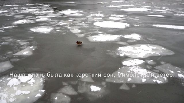 Ирина Брагина — Я уйду туда  / Авторская песня